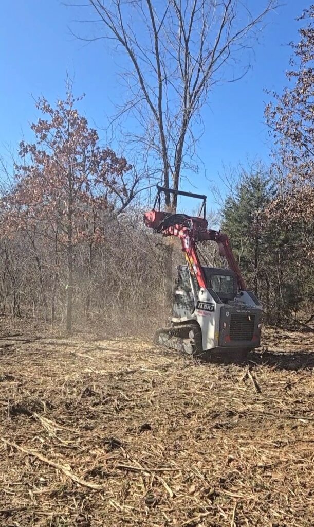 Clearing brush for land restoration projects