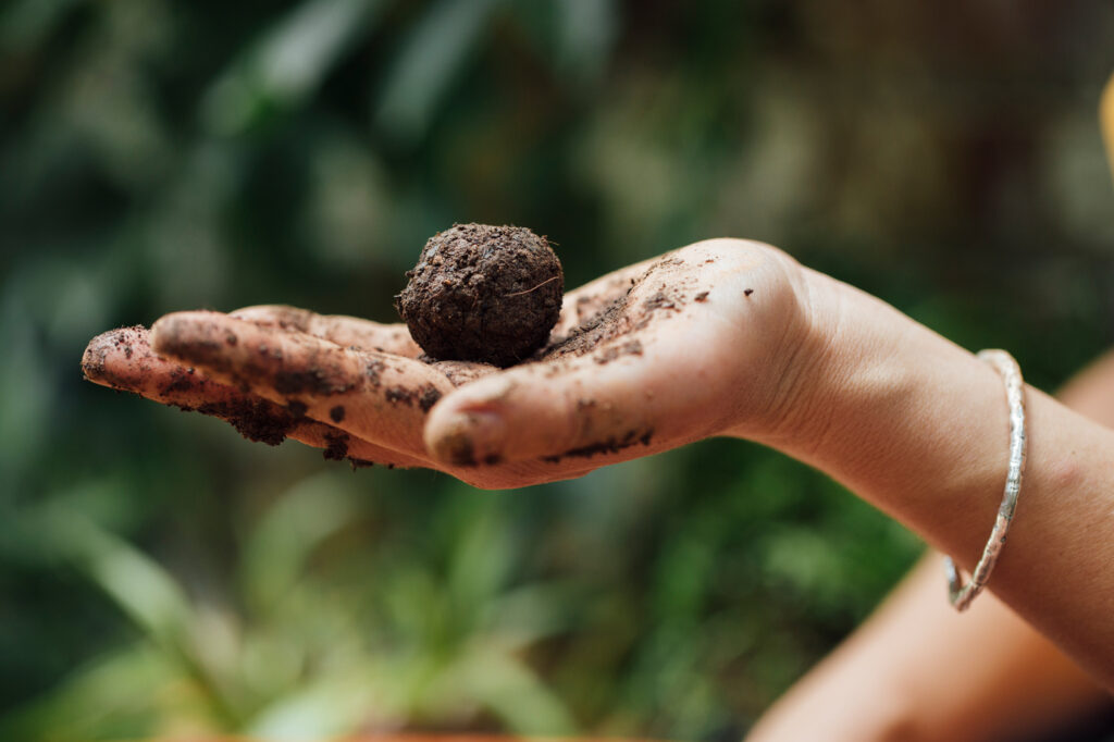 Close up of DIY seed bomb