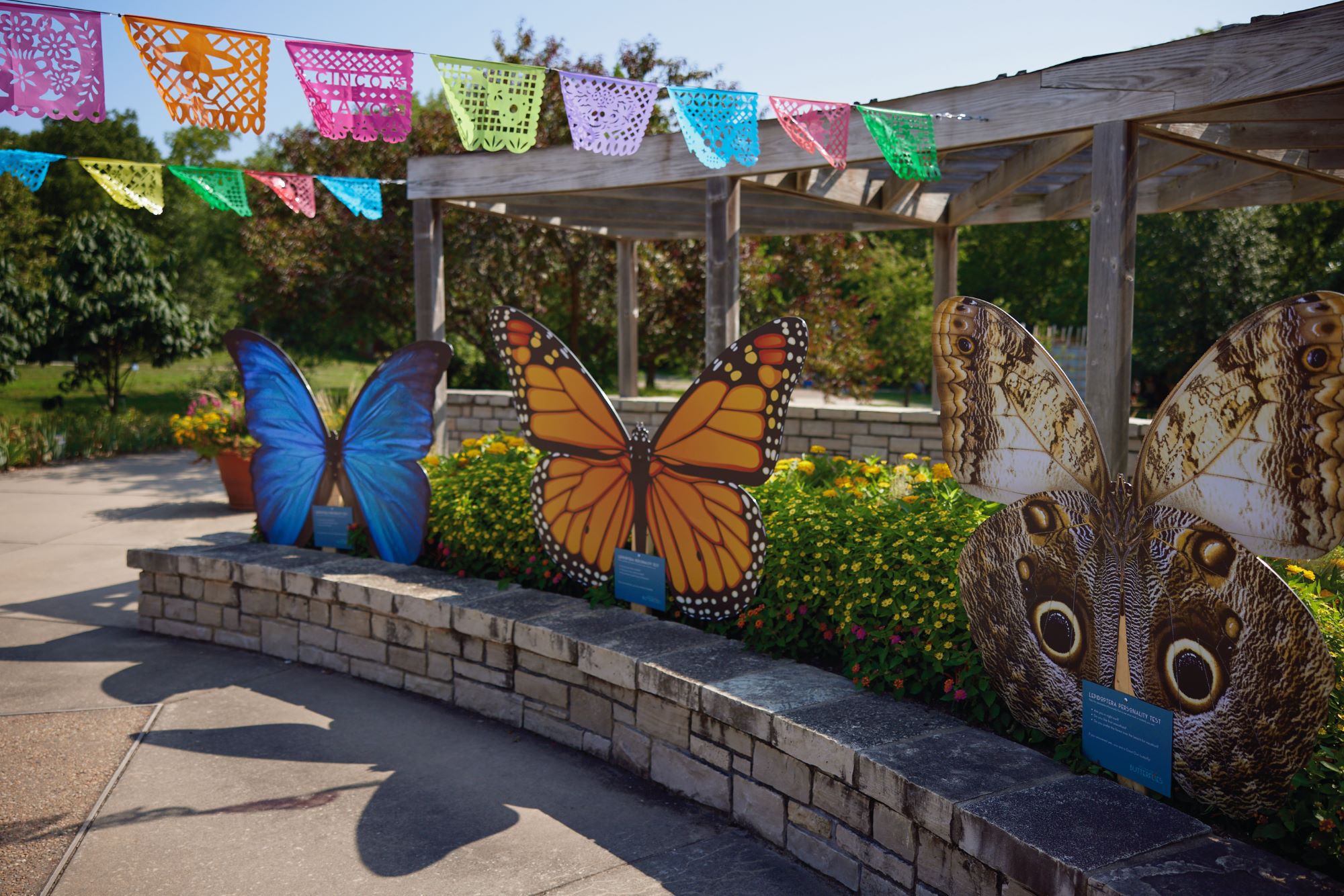 Festival of Butterflies - Powell Gardens