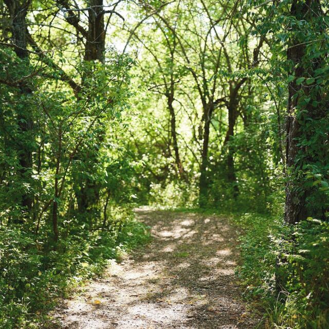 Come take a hike during Trail Days today! 
.
Admission linked in bio. #powellgardens #traildays #hiking #kchikes #hikekc #takeahike #botanicalgarden #garden #fallinkansascity #fallinlovewithhiking #trails