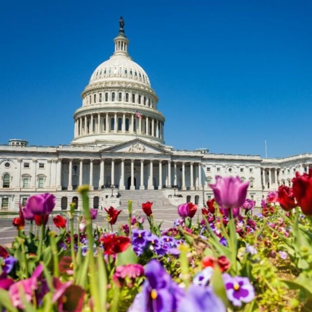 Member Trip to Washington D.C. (August 26-31, 2024) ❤️💙 
.
Powell Gardens, Kansas City's botanical garden, is excited to announce the return of members-only garden tours! Explore the rich history and beautiful botanical collections of the nation's capital, Washington, D.C., with Discover Garden Tours. 
.
A digital information session will be held on Thursday, May 2 at 3 p.m. Register for the session by emailing membership@powellgardens.org.