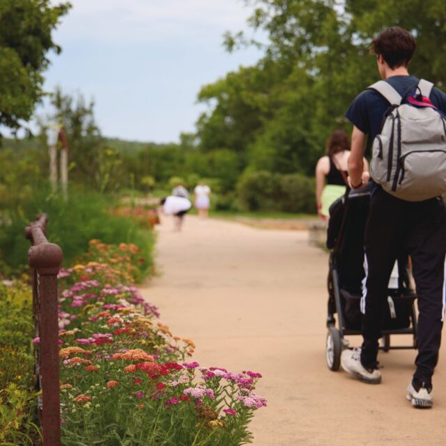 There’s so much to enjoy at Powell Gardens this month! Check out upcoming classes and special events at powellgardens.org/events-and-classes. 

💗 Waterlily Wonders (Ages 7-11; Saturday, August 17; 3:30-11:30 a.m.) 
🐶 Dog Days (Sunday, August 18; 9 a.m. - 5 p.m.) 
🎨 Nature’s Sculptures (Saturday, August 24; 2-4 p.m.) 
🥃 Garden to Glass: Tequila (Saturday, August 24; 3-4 p.m.) 
🔵 Family Programs: Forts and Fun (Tuesday, August 27; 10-11:30 a.m.) 

Powell Gardens' educational programming is made possible by generous partners like the Missouri Conservation Heritage Foundation.