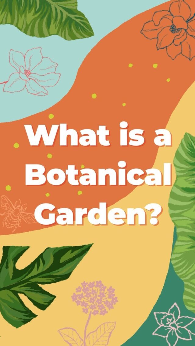 Have you ever wondered what a botanical garden actually is? Phil has the answer. ☺️🌱❤️