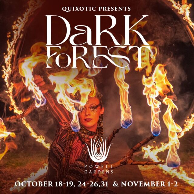 Looking to make your Dark Forest experience extra memorable? VIP tickets and Fire Feast dinners are still available! Click the “Dark Forest” link in bio to learn more.