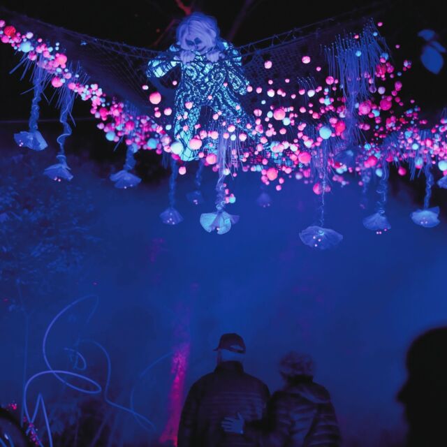 There’s still time to discover the mysteries of @darkforestkc, presented by @quixoticfusion at Powell Gardens. ✨ 

Tickets are available for October 31 and November 1-2 (link in bio). Purchase 1 Dark Forest Halloween admission ticket, get 50% off 1 additional Dark Forest Halloween admission ticket with code “BOGODF” at checkout.* Purchase tickets at the link in bio.

*Discount only applies to tickets purchased for Halloween (10/31/24). Excludes parking, VIP FastPass, daytime general admission, and add-ons like Fire Feasts. Discount will not be retroactively applied and neither full nor partial refunds will be provided if tickets already purchased. Discount codes cannot be stacked.