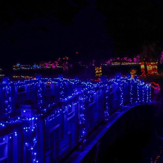 NEW! The updated outdoor walk at Evergy Festival of Lights highlights Powell Gardens’ iconic Marjorie Powell Allen Chapel while winding through the Marlese Lowe Gourley Island Garden. What do you think of this new section? 

💡: Tickets linked in bio. #festivaloflightskc #powellardens