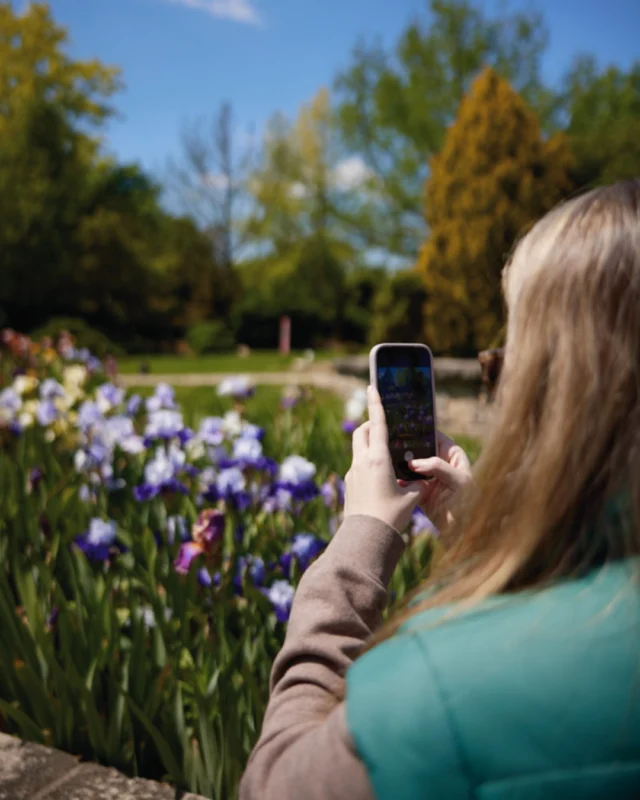 Members, enjoy a special adventure during the member day this Sunday (May 17)! Pick up a seasonal scavenger hunt and look for plants blooming throughout the Gardens.
