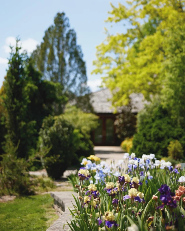 Moms get in free on Sunday, May 10, 2026! Bring the family out to Powell Gardens to celebrate together. 💐 

Admission linked in bio. #powellgardens #mothersday #botanicalgarden #familyfriendly #familyactivity