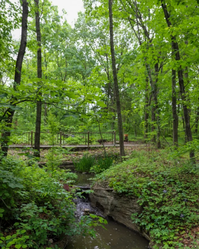 Powell Gardens will be open tomorrow (Monday, May 25). To visit on Memorial Day, purchase admission online (link in bio) or at the Gatehouse. 

Admission is free for members! 💚 

#powellgardens #botanicalgarden #garden #getoutside #nonprofit