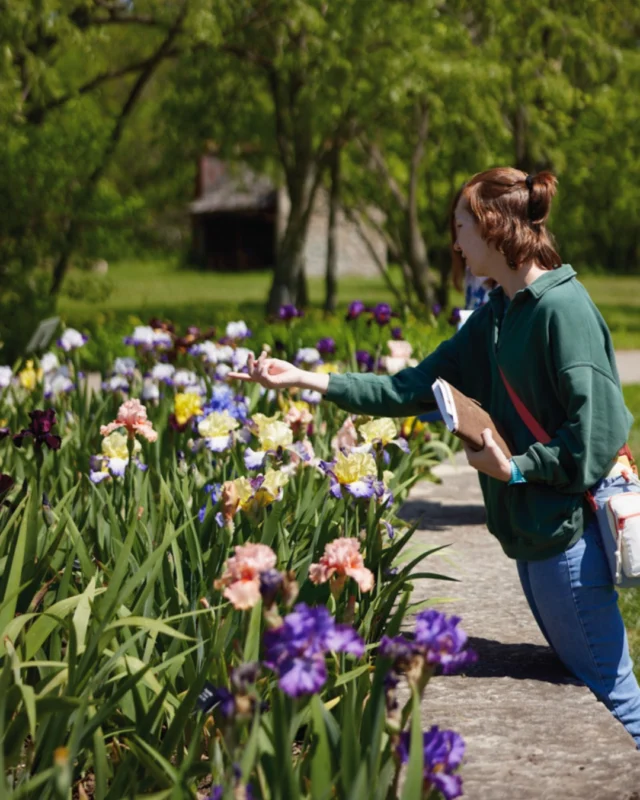 At Powell Gardens, plants are at the heart of everything we do … but people are just as important! 

As a member-supported nonprofit organization, Powell Gardens depends on the generosity and enthusiasm of members who believe in the power of plants to inspire, educate, and connect our community. 💚 

Read more about membership and member benefits on the blog (link in bio). 

#powellgardens #nonprofit #membersupported #memberbenefits #botanicalgarden