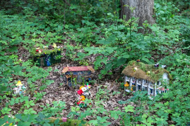 A BIG and special part of Dragons and Fantastic Beasts is ... small. 🍄🧚✨ 

Look for fairy houses tucked away in the David T. Beals III Woodland & Stream Garden! How many can you spot? 

P.S. All of these little special moments were crafted by the Powell Gardens team. Their creativity shines through in a magical way!