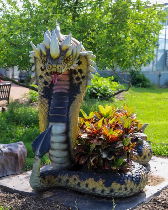 Book a summer field trip at Powell Gardens! ☀️ 

The Dragons and Fantastic Beasts program is 90-minutes long, designed for grades K-6, and takes students on a dragon themed-quest with real plant science and cyanotype prints. 

Click the Dragons and Fantastic Beasts link in bio and scroll down to learn more.