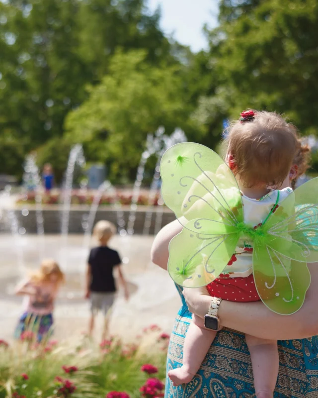 Festival of Butterflies is almost here ... and members get more! 🦋 

Powell Gardens members enjoy: 

💛 FREE admission to Festival of Butterflies 
💛 Unlimited general admission visits all season long 
💛 Discounts on classes, programs, and events 
💛 10% discount at @colonialfarmskc
💛 10% discount at @whistlestopcoffee 

Become a member at powellgardens.org/memberships (link in bio) before the festival begins and start using your benefits immediately!