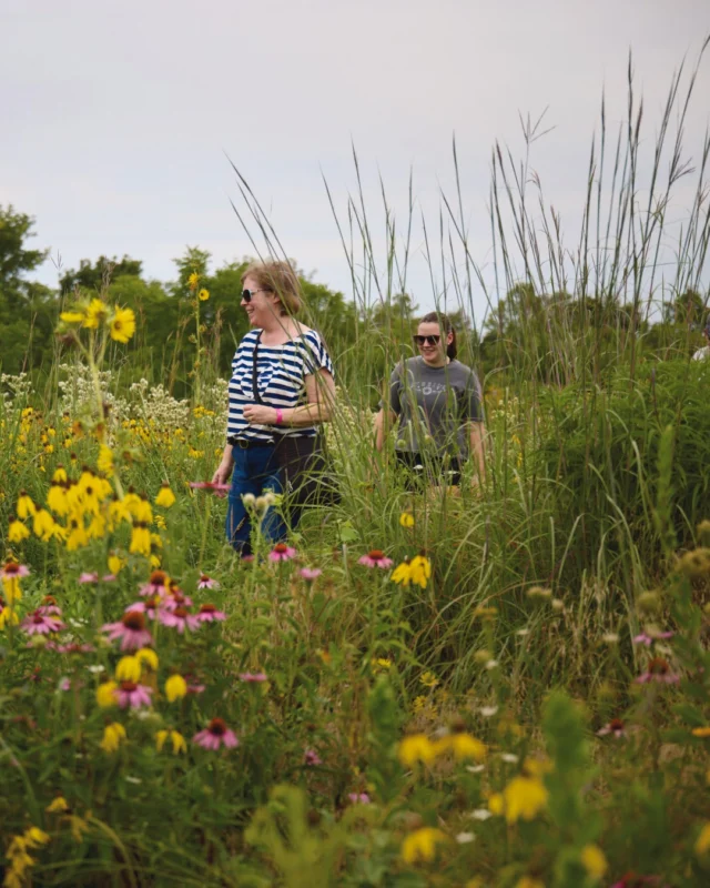 Festival of Butterflies, presented by @FNBO, opens on July 16, 2026! We can’t wait to see your family enjoy this special 30th anniversary of our favorite festival. 🦋 

Purchase tickets and plan your visit now! Link in bio. 

#powellgardens #botanicalgarden #festivalofbutterflieskc #summerfun #kansascity