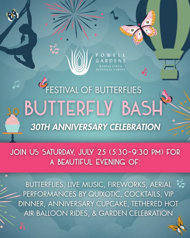 Celebrate 30 years of Festival of Butterflies at Butterfly Bash on Saturday, July 25 (5:30-9:30 p.m.)! 🦋✨ 

Enjoy live music, @quixoticfusion aerial performances, anniversary cupcakes, dancing in the Grand Hall, and a fireworks finale under the stars. 

VIP tickets include dinner, a signature cocktail, and tethered hot air balloon rides (weather permitting). 

Tickets start at $45 (link in bio). 

#powellgardens #festivalofbutterflieskc #butterflybashkc #botanicalgarden #gardenparty