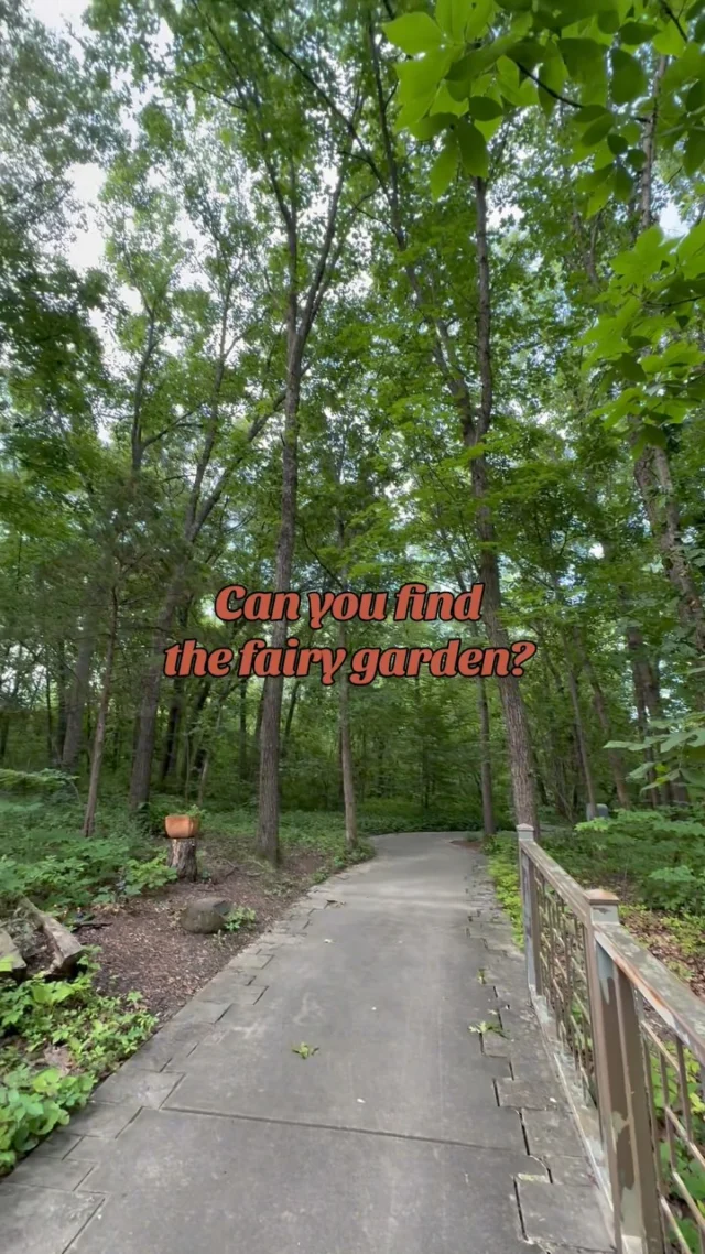 The David T. Beals III Woodland & Stream Garden is home to a few new visitors this summer. 🍄🧚✨🌳

Look for fairy houses and a secret path in this shady garden! How many can you find?