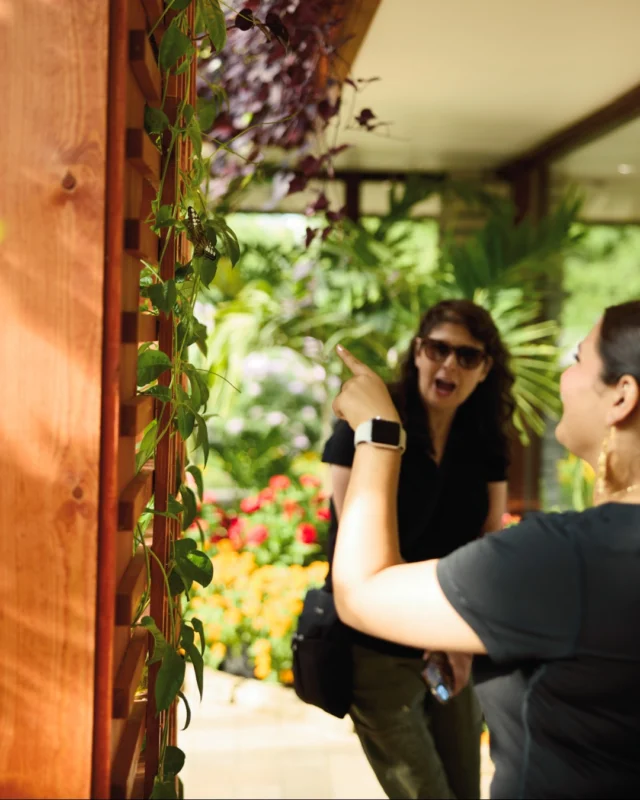 Festival of Butterflies, presented by @FNBO, opens on July 16, 2026! 

Purchase admission and browse special events and classes at the link in our bio. 

#powellgardens #festivalofbutterflieskc #kansascity #botanicalgarden #butterflies