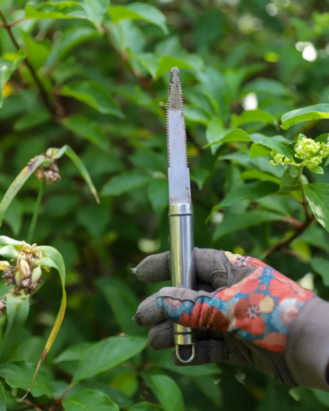 NEW ON THE BLOG: Three members of Powell Gardens’ horticulture team share the garden tools they reach for time and time again. 

From high-tech soil testers to an unexpected kitchen utensil, these favorites might inspire you to try something new in your own garden. 💚 

🔗 Link in bio. #powellgardens #gardentools #gardening #horticulture #botanicalgarden