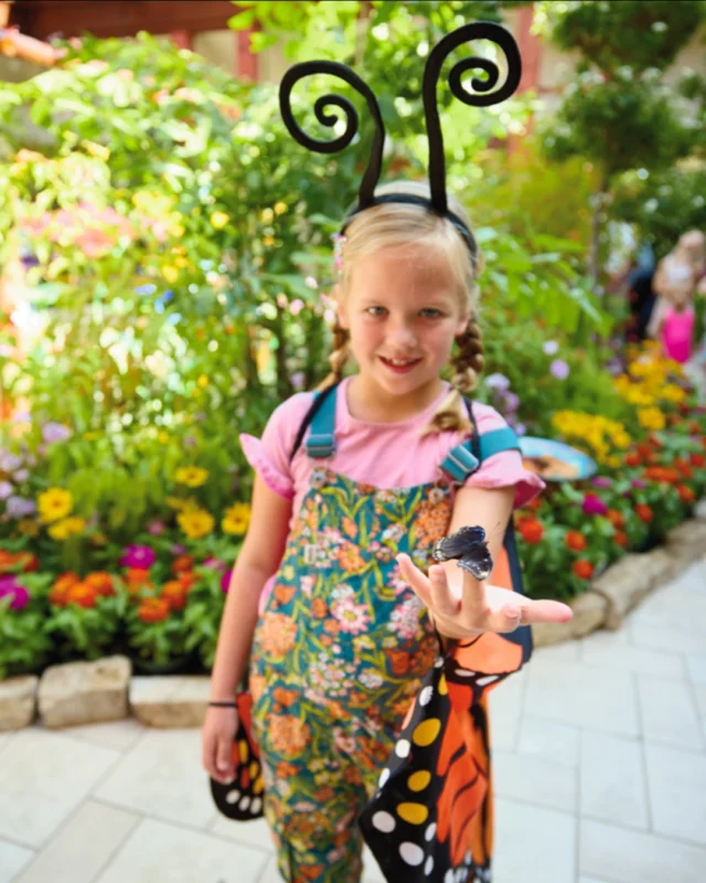 Visit Festival of Butterflies, presented by @fnbo, at Powell Gardens this weekend. 🦋 

Plan your visit at the link in bio. 

#powellgardens #festivalofbutterflieskc #butterfly #botanicalgarden #nonprofit