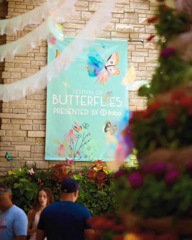 Just a few days left until Butterfly Bash! 🦋 

On Saturday, July 25 we’re celebrating 30 years of Festival of Butterflies with a party at Powell Gardens. Enjoy unforgettable entertainment from @quixoticfusion and Grand Marquis, sweet treats, cocktails, dancing, and fireworks in the Gardens. 

Standard tickets linked in bio. #powellgardens #festivalofbutterflies #butterflybashkc #botanicalgarden #gardenparty