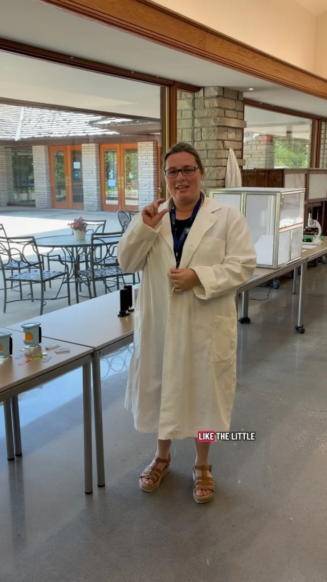 Have you noticed the Pupae Laboratory in the Visitor Center? Jamie tells us all about this new space! 🔬🦋

#powellgardens #festivalofbutterflieskc #butterfly #botanicalgarden #nonprofit