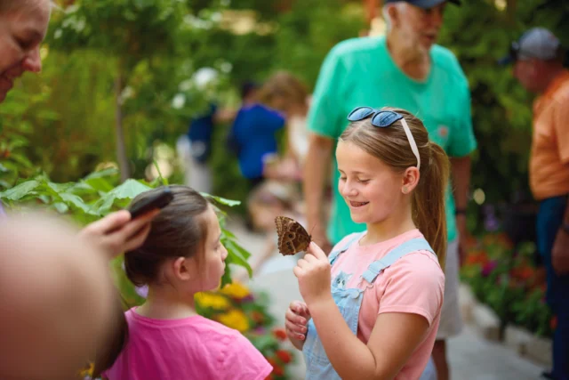 Don't miss this sweet summer deal! ☀️🦋❤️ 

Now through August 2, when you purchase Festival of Butterflies tickets online using code "FOBFREEBEE" (or mention the offer at the Gatehouse), one child (ages 5–12) gets in FREE with the purchase of one adult or senior admission.

Festival of Butterflies, presented by @fnbo, is open one more week! Visit Powell GardensTuesday-Sunday (9 a.m. - 5 p.m.) now through August 2, 2026. 

Admission linked in bio. 🦋 

#powellgardens #festivalofbutterflieskc #butterfly #botanicalgarden #nonprofit