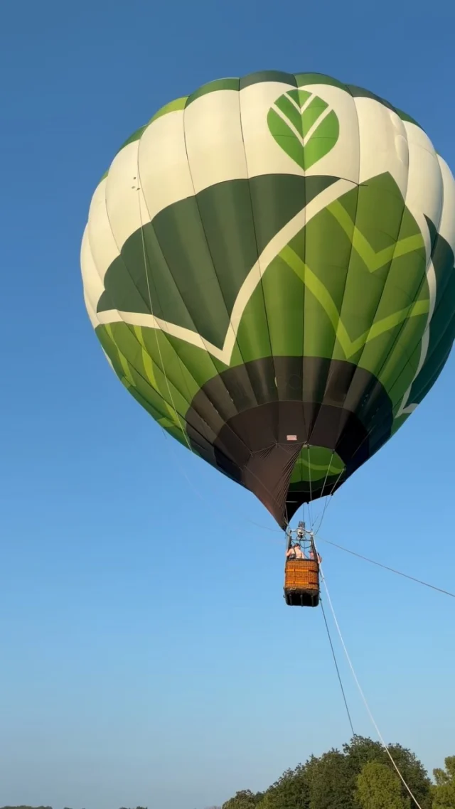 Butterfly Bash ✨🦋🥳 🎈🎉

We had some much fun celebrating 30 years of butterflies at Powell Gardens! 

💚 Music from @grandmarquiskc 
💚 Performances by @quixoticfusion 
💚 Balloon rides by @kcballoon_com 

#powellgardens #festivalofbutterflieskc #butterflybash #botanicalgarden #nonprofit