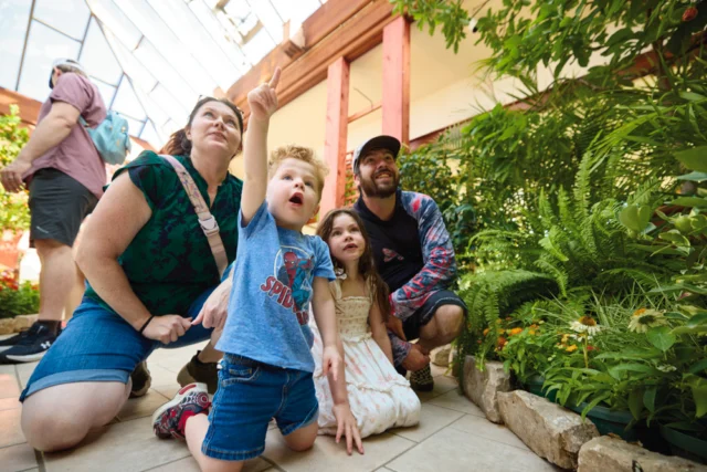 Butterflies. Blooms. Summer magic. 🦋

You’ve got one more week to visit Festival of Butterflies, presented by @fnbo, at Powell Gardens! Open Tuesday-Sunday (9 a.m. - 5 p.m.) now through August 2, 2026. 

Click the link in bio to plan your visit. 

#powellgardens #festivalofbutterflieskc #butterflyl #botanicalgarden #nonprofit