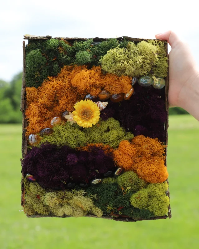 Gather your favorite crafting buddy and head to Powell Gardens for an adults-only (21+) moss art class on Saturday, August 22. We can’t wait to see what you create! 

Register at the link in bio. #powellgardens #artclass #kansascity #botanicalgarden #nonprofit