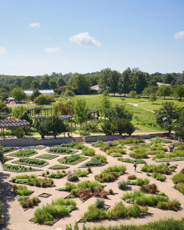 Looking for something new to try this week? We’ve got great classes and activities coming up! 

Reserve your spot today at the link in our bio. Which activity are you most excited to try? 👇 

🌱 Wild and Useful Things: Foraging with the Seasons (Saturday, August 15) 
🥕 Children's Gardening: Harvest (Saturday, August 15) 
🐕 Dog Days (Sunday, August 16) 
🦋 Biological Survey Team (Sunday, August 16)