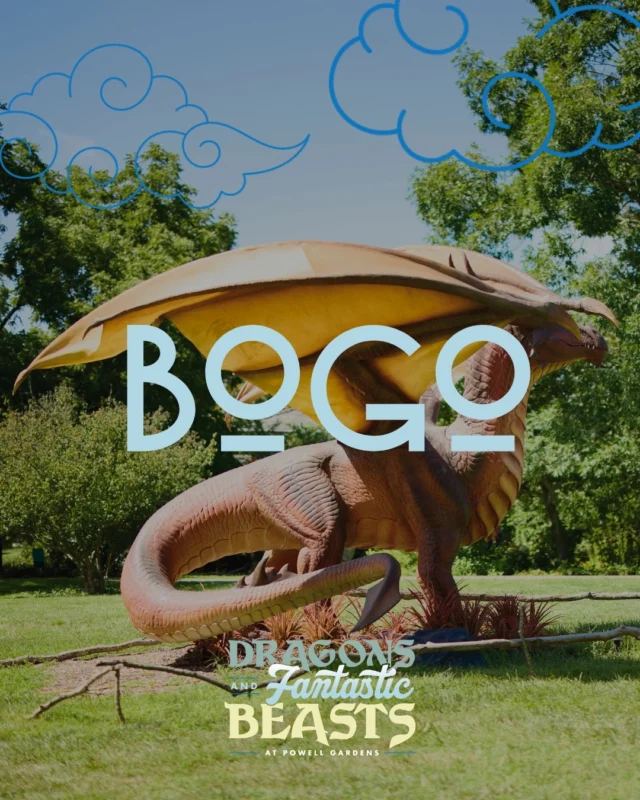 Bring the family to Dragons and Fantastic Beasts at Powell Gardens and save while you explore a world of mythical creatures. 🐲 

BUY ONE ADULT/SENIOR ADMISSION, GET ONE CHILD ADMISSION FREE*! 

🎟️ Use promo code "BOGODRAGON" when you purchase tickets online, or mention the code at the Gatehouse.

Hurry! The exhibit, sponsored by @hawkinsdesignbuild closes Sunday, September 24.

*One free child admission (ages 5–12) per adult/senior admission. One-time use per transaction. Valid through 9/24/2026.
