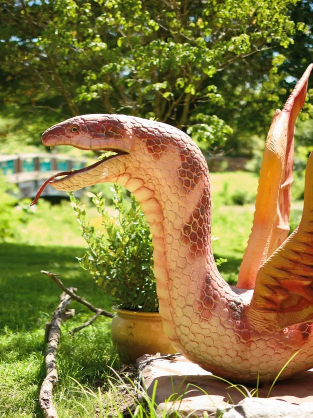 Sundays are for mimosas ... and dragons. 🥂🐉 

Don't miss the final Dragons and Mimosas of the season this Sunday, August 23! Grab a mimosa, wander the Gardens, and enjoy a leisurely morning surrounded by mythical creatures and late-summer blooms. 

Admission linked in bio. #powellgardens #botanicalgarden #sundayfunday #garden #mimosa