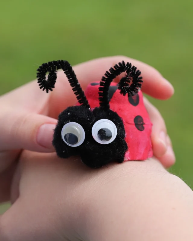 Our next Family Program is coming up on Friday, August 21! Learn all about ladybugs through story time, crafts, and a garden adventure. 

Recommended for ages 7 and under. Register at the link in bio.