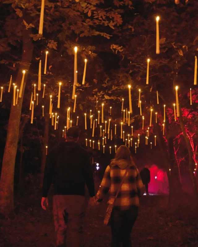 Want the Dark Forest experience with a few extra perks? Upgrade to a VIP Fast Pass and make the most of your night. 

🖤 Skip the line 
🖤 Two drink tickets 
🖤 VIP parking 
🖤 Private seating area and bar at the Missouri Barn and along the Dark Forest trail 

VIP Fast Passes are limited each night and must be purchased in advance. Purchase yours at the link in bio. 

#powellgardens #darkforestkc #botanicalgarden #fall #quixotic