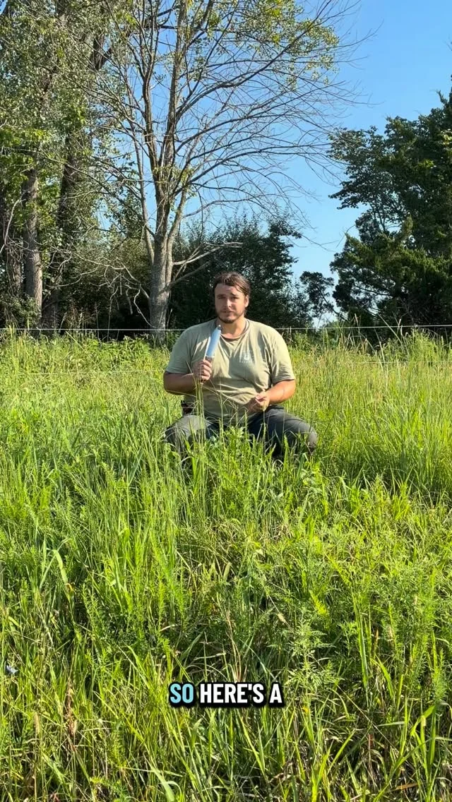 You heard Christian! If you’ve got green milkweed (or any other variety you’d be willing to share), let us know. 💚

What other types of milkweed have you seen or grown? 👇

#powellgardens #milkweed #plants #garden #horticulture