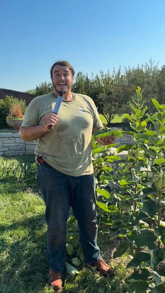 Christian is back with a garden word of the day! Do you know what frass is? 

Here’s a hint: 🐞🐛💩

Frass is the technical term for insect poop and waste! You may see frass on host plants around the gardens, especially when caterpillars are eating a lot. 

If you want, go ahead and practice using this word in a sentence in the comments. 😂

#powellgardens #plants #botanicalgarden #insects #wordoftheday