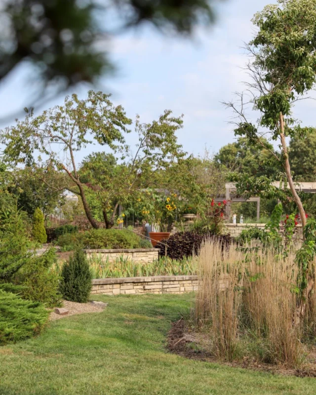 We’ve got great classes coming up this weekend! Register at the link in bio. 

💡 Family Program: Fireflies 
🍄 Wild and Useful Things: Foraging With the Seasons 
🍹 Garden to Glass
🍳 Camp & Cook with WildHERness
🐶 Dog Days 

#powellgardens #botanicalgarden #kansascity #classes #nonprofit