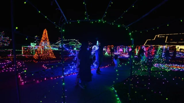 We’re looking forward to the best winer ever! Evergy Festival of Lights will illuminate Powell Gardens November 19-January 3, 2027. 💡 

Click the link in our bio for tickets and more information. 

#powellgardens #festivaloflightskc #botanicalgarden #lightshow #holidayseason