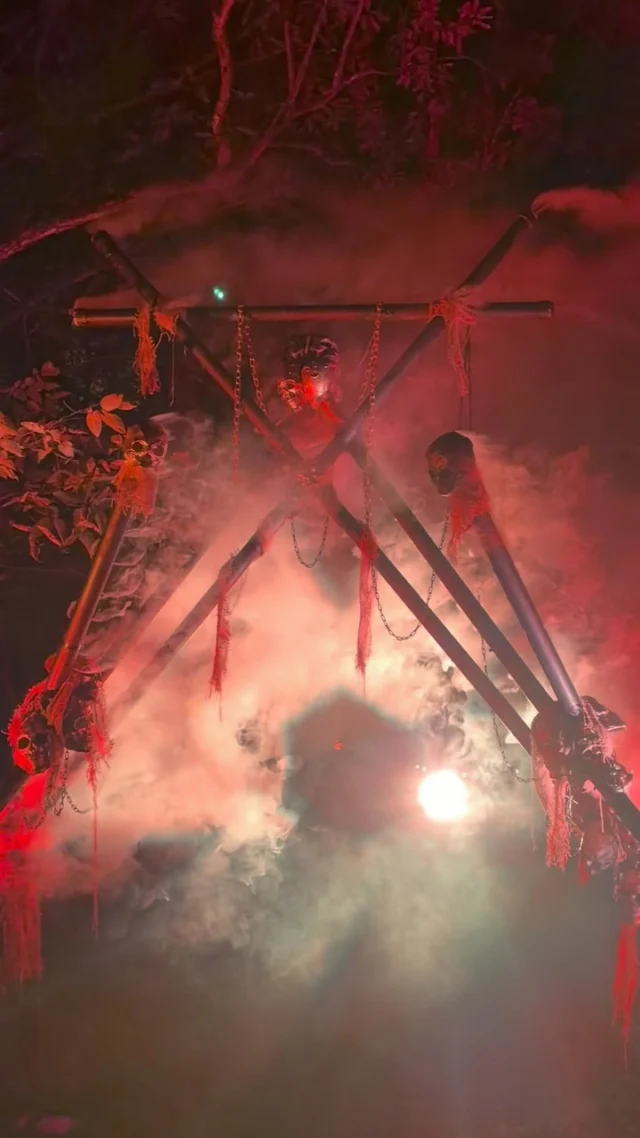 We told you not to. 👀

There’s still time to brave @darkforestkc at Powell Gardens. Visit October 30-31, 2026. 

Tickets linked in bio. 🖤

#darkforestkc #powellgardens #kansascity #thingstodo #spookyseason @quixoticfusion